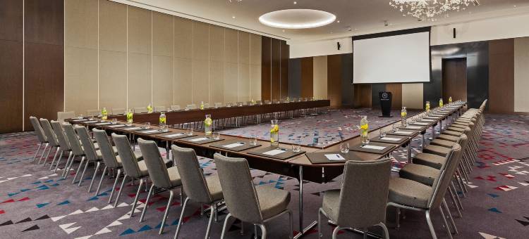 第比利斯美特驰宫喜来登大酒店(Sheraton Grand Tbilisi Metechi Palace)图片