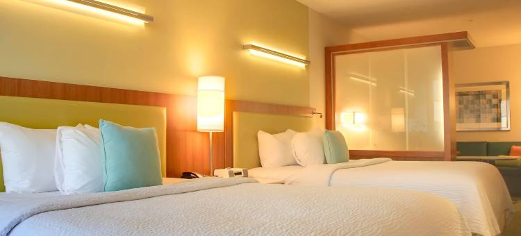 斯克兰顿蒙塔格山万豪SpringHill酒店(SpringHill Suites Scranton Montage Mountain)图片