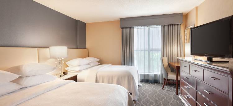 亚特兰大机场希尔顿安泊酒店(Embassy Suites by Hilton Atlanta Airport)图片