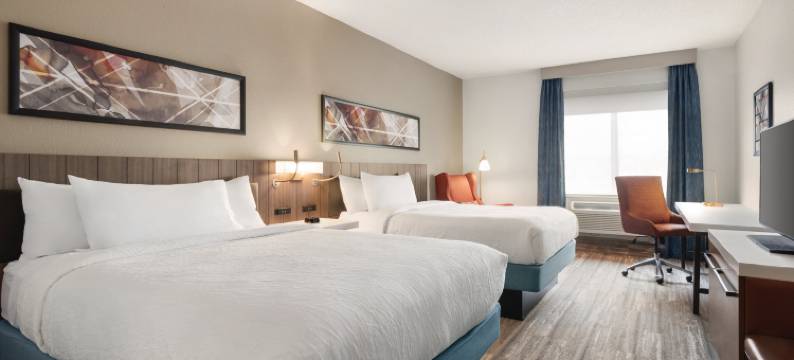 韦恩堡希尔顿花园酒店(Hilton Garden Inn Fort Wayne)图片