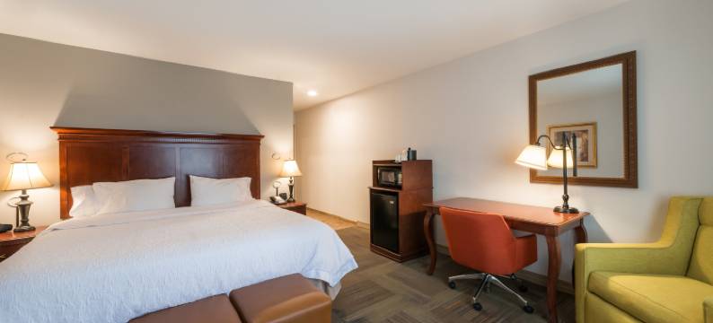 希尔顿欢朋套房酒店-赖夫尔(Hampton Inn & Suites Rifle)图片