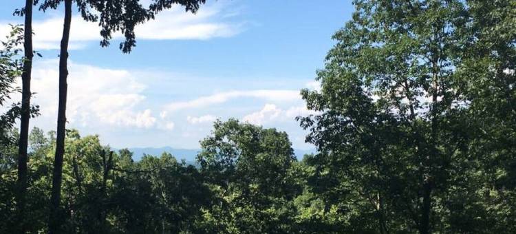 树顶静居，距阿什维尔市中心10分钟，山景、1000平方英尺度假屋！(Treetop Hideaway with mountain views. 1000 sq. ft. 10 min to downtown Asheville!)图片