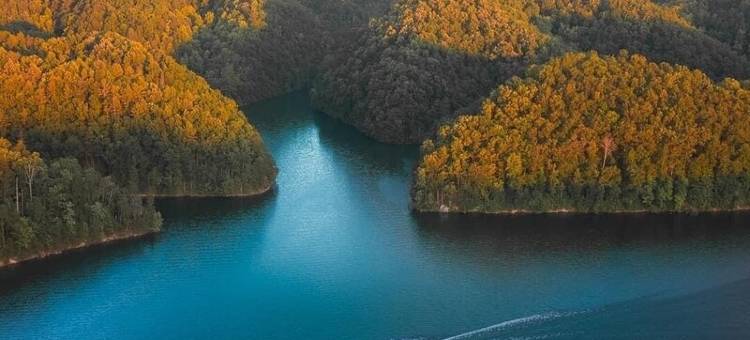 Luxury! Peaceful. Great Location. Sleeps 3. under 1 mi to South Holston Lake图片