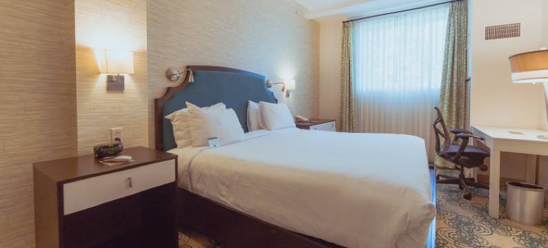 叙拉古斯凯勒酒店，希尔顿启缤精选(Hotel Skyler Syracuse, Tapestry Collection by Hilton)图片