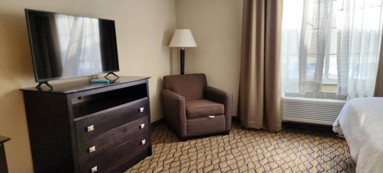 智选假日套房酒店凯迪拉克(Holiday Inn Express & Suites CADILLAC by IHG)图片