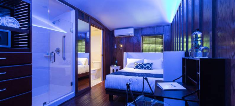 基韦斯特，圣傲途格精选酒店(The Saint Hotel Key West, Autograph Collection)图片