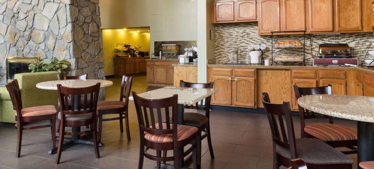 舒适酒店及套房锡拉丘兹-凯瑞尔圈(Comfort Inn & Suites Syracuse-Carrier Circle)图片