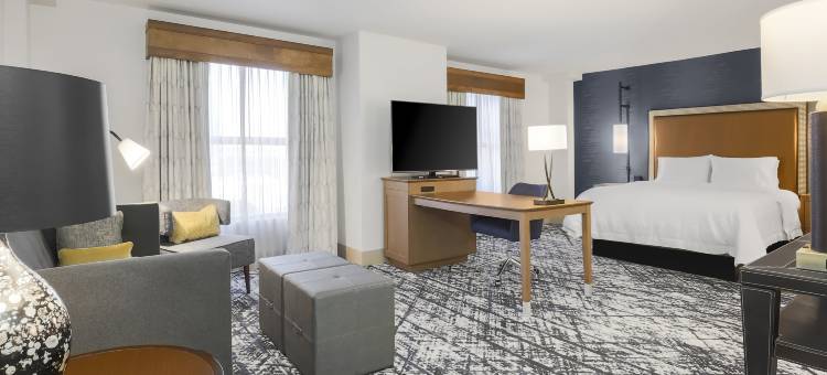 奥斯汀市中心欢朋套房酒店(Hampton Inn & Suites Austin Downtown)图片