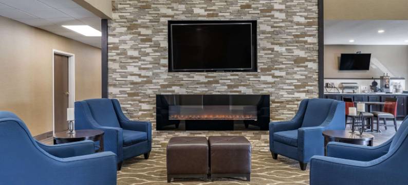 舒适酒店(Comfort Inn)图片