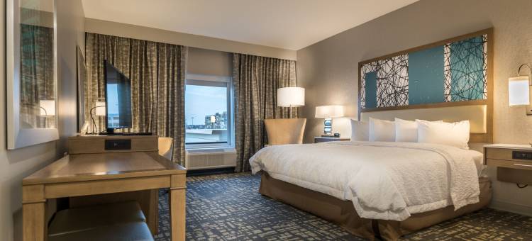 达拉斯-科洛尼希尔顿欢朋酒店及套房-TX(Hampton Inn & Suites Dallas-The Colony)图片