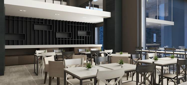 法鲁皮尔哈智选假日酒店(Holiday Inn Express Farroupilha)图片