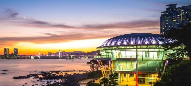 釜山海云台连酒店(Hotel Lien)图片