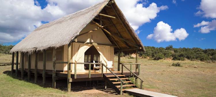 戈拉大象营酒店(Gorah Elephant Camp)图片