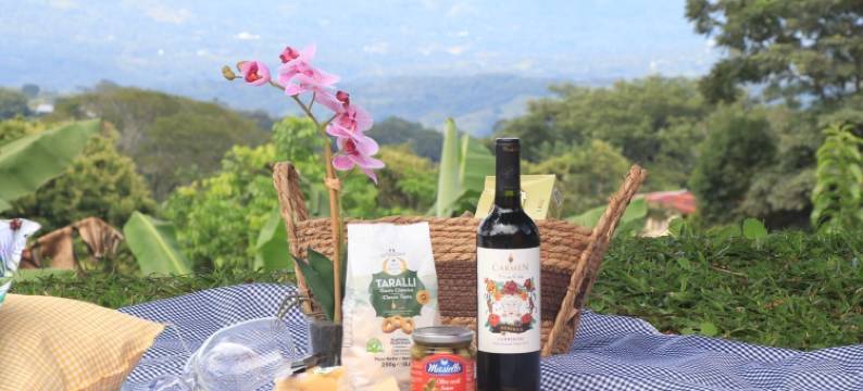 巴杜旅馆(Badu Lodge)图片