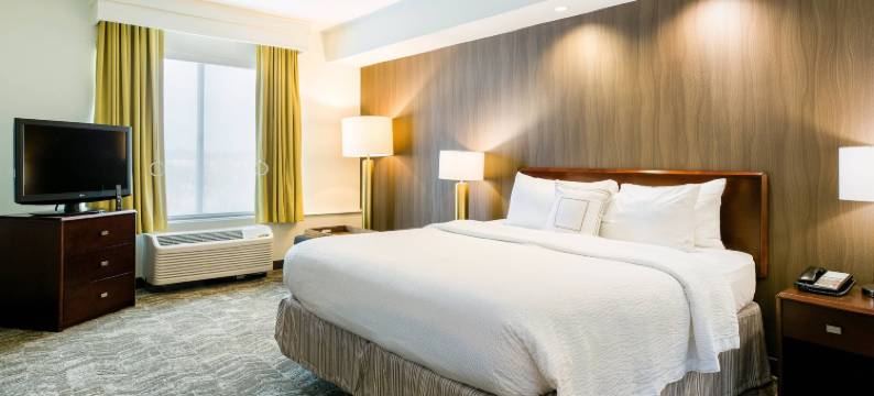 佛罗伦萨万豪SpringHill酒店(SpringHill Suites Florence)图片