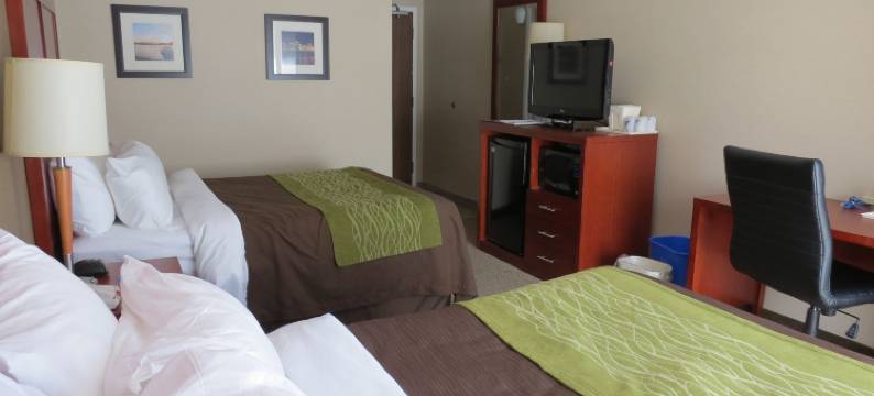 舒适酒店(Comfort Inn Dartmouth)图片