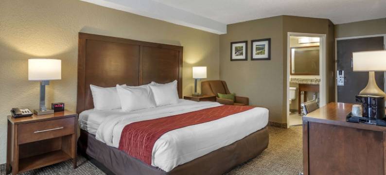 金斯波特东南舒适酒店(Comfort Inn Kingsport Southeast)图片