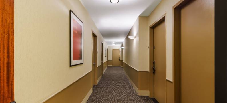 千禧酒店-百老汇时代广场(Millennium Hotel Broadway Times Square)图片