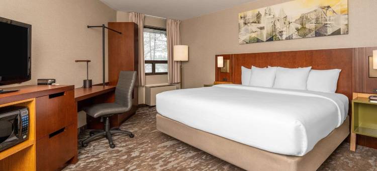 舒适酒店-西部(Comfort Inn West)图片