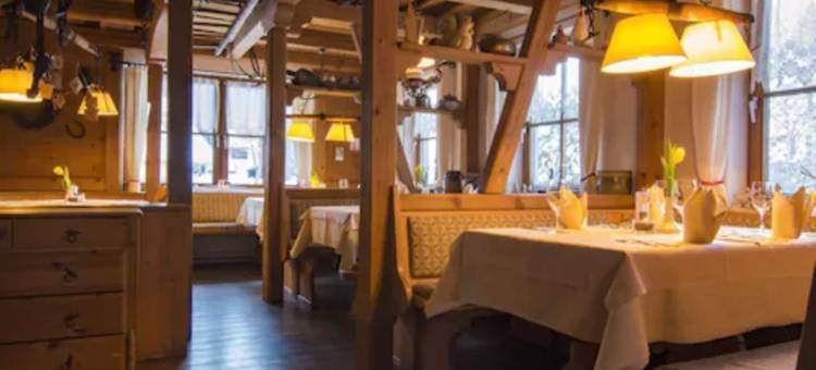 荷恩加斯特霍夫格鲁纳鲍姆酒店(Hotel & Restaurant Grüner Baum - Die Grüne Oase am Feldberg)图片