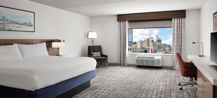底特律市区希尔顿花园旅馆(Hilton Garden Inn Detroit Downtown)图片