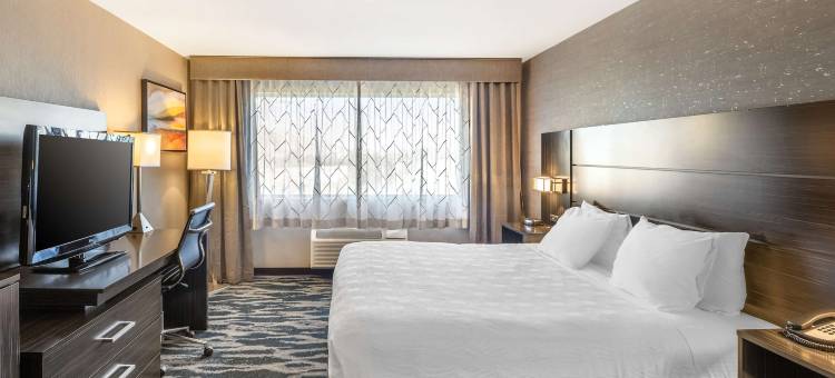 北拉斯维加斯贝斯特韦斯特优质酒店(Best Western Plus North Las Vegas Inn  Suites)图片