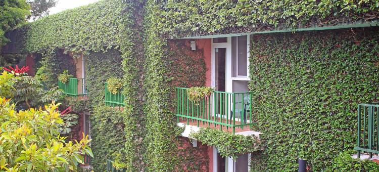 诺富酒店及套房(Novo Hotel & Suite)图片