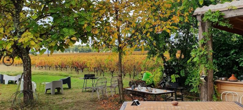 单车树酒店(Au Vélo Dans l'Arbre)图片