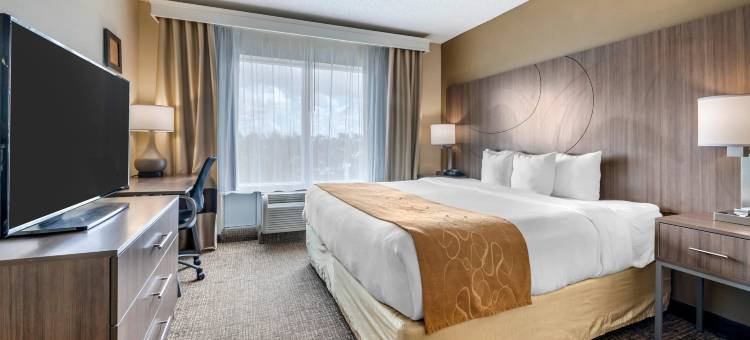 康福特套房索格拉斯(Comfort Suites Sawgrass)图片