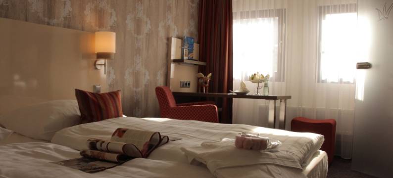 罗曼提斯切斯曼扎萨酒店(Romantisches Hotel Menzhausen)图片