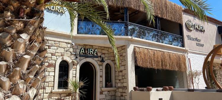 阿拉恰提奥拉加(Alaçatı Aura Plus)图片