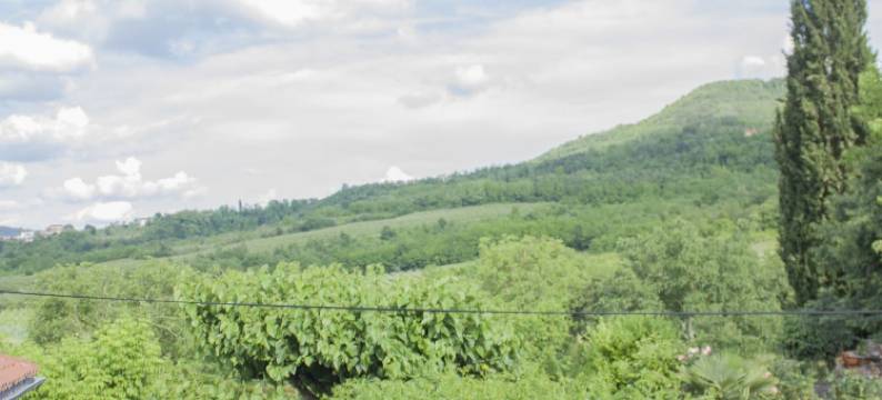 瓦伦蒂诺宾馆(Guest House Valentino)图片