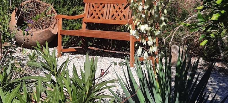 北方公鸡旅馆与招待所 - 马伊亚克(Le Coq du Nord - Mailhac Gîte et Chambres d'Hôtes)图片