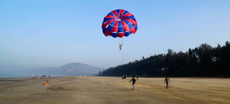 阿雷卡棕榈酒店(Areca Palms)图片
