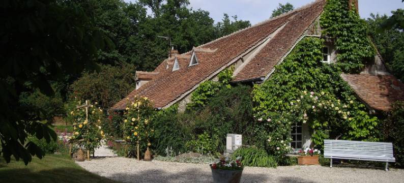 萨邦酒店(Les Sapins)图片