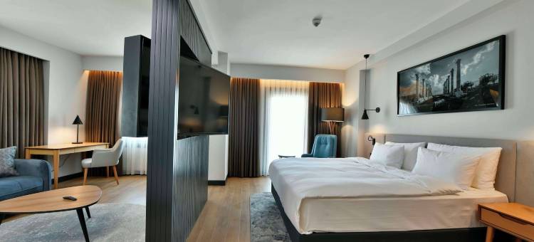 梅尔辛丽笙酒店(Radisson Hotel Mersin)图片