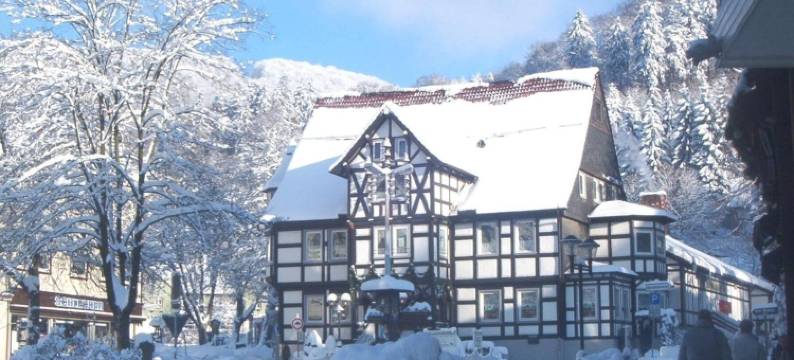 库米特尔豪斯潘森酒店(Hotel Pension am Kurmittelhaus)图片