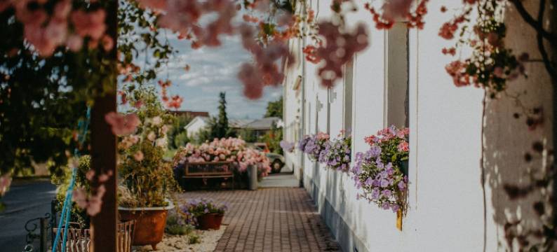 罗森尚克兰德酒店(Landhotel Rosenschänke)图片