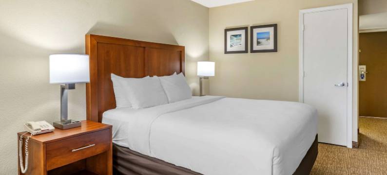 舒适酒店及套房-圣彼得堡-克利尔沃特国际机场(Comfort Inn & Suites St Pete - Clearwater International Airport)图片