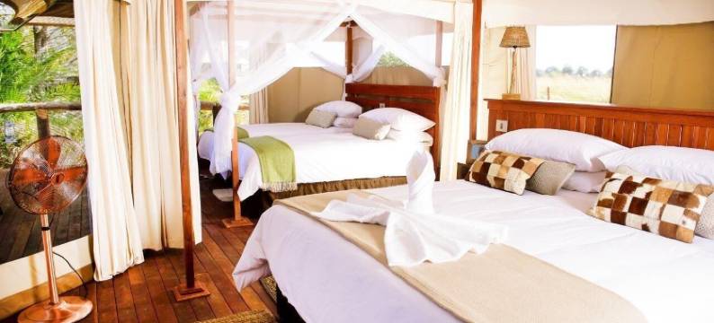 Ila Safari旅馆(Ila Safari Lodge)图片