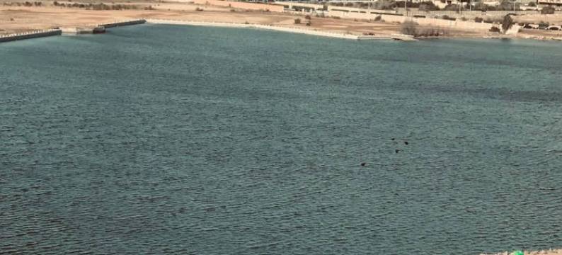 Al Andalus Tolen 酒店(Al Andalus Tolen Hotel)图片