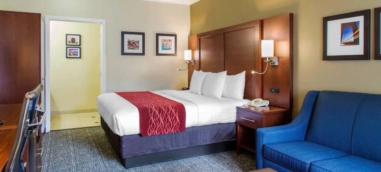 旧金山机场北舒适套房酒店(Comfort Inn & Suites San Francisco Airport North)图片