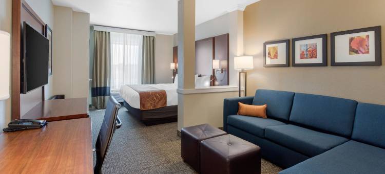 丹佛国际机场舒适套房酒店(Comfort Suites Denver International Airport)图片