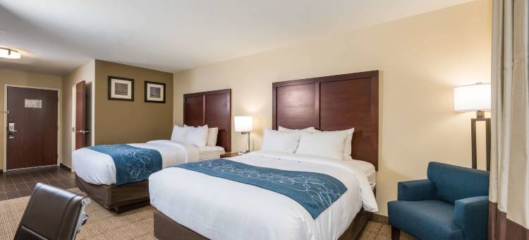 托诺帕舒适酒店(Comfort Inn Tonopah)图片
