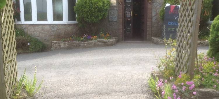 道恩旅馆(The down Inn)图片