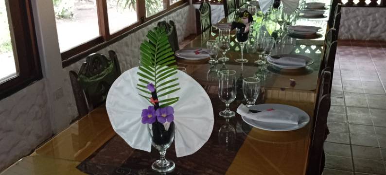 茱妮小姐木屋旅馆(Miss Junies Lodge)图片