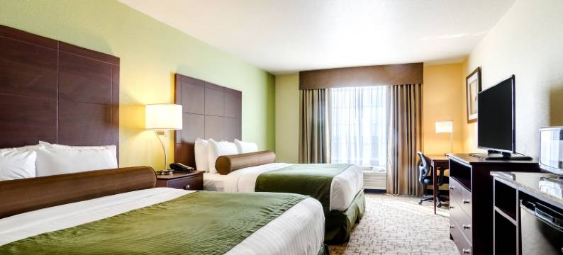 欧尔德鹅卵石套房酒店(Cobblestone Inn & Suites - ORD)图片