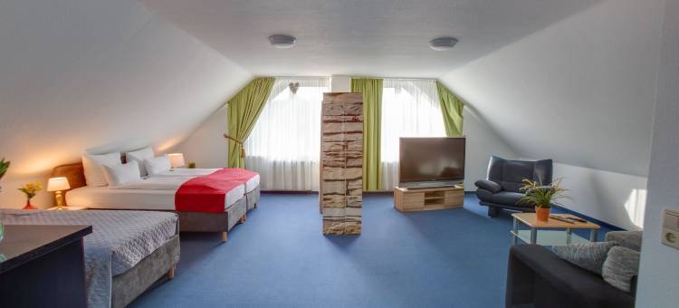 利奥姆和哈森酒店(Hotel Leo Mühlhausen)图片