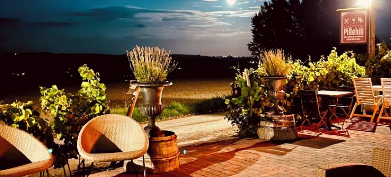 皮勒希尔南海岸酒店(Sydkustens at Pillehill)图片