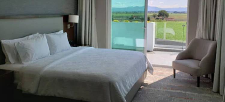 萨拉曼卡希尔顿花园酒店(Hilton Garden Inn Salamanca)图片